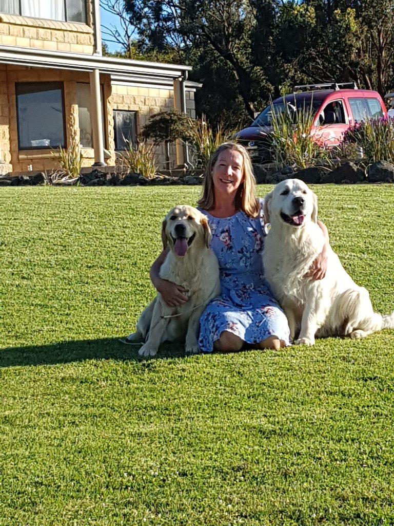 Me dogs on lawn